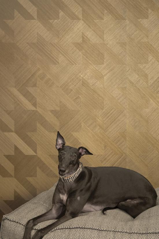 Oak Luster, MR-AH-4608-G