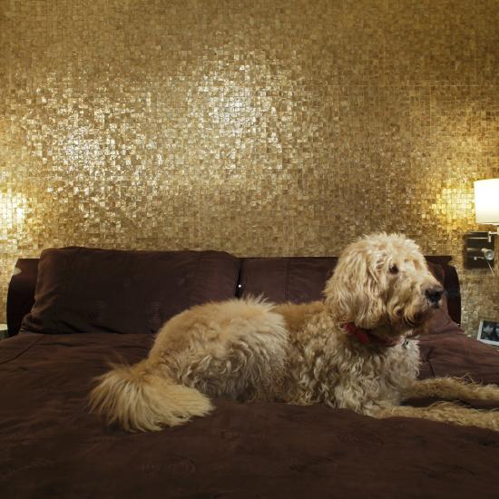 Golden Pearl, MR-MM-02