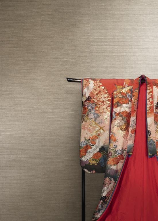 Beachgrass, MR-FV-21099