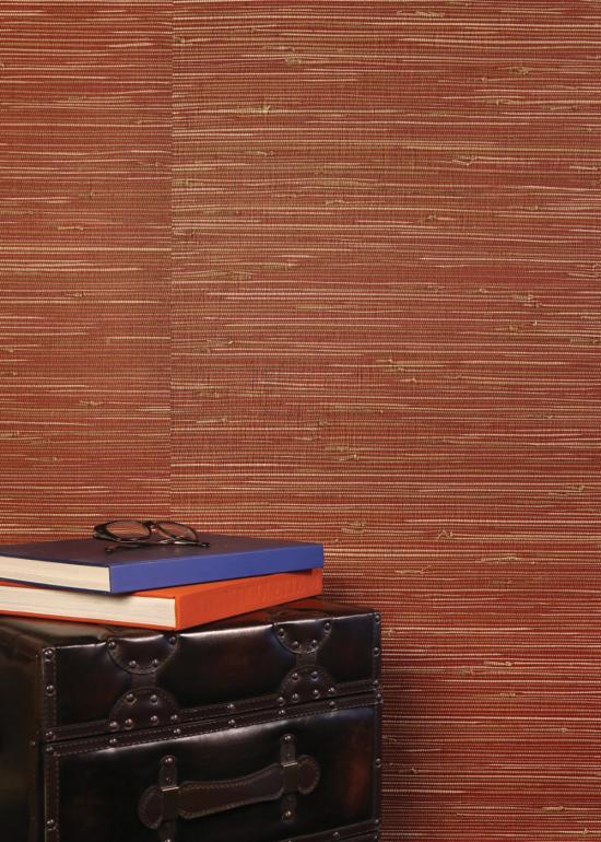 Clownfish, MR-TY-2077