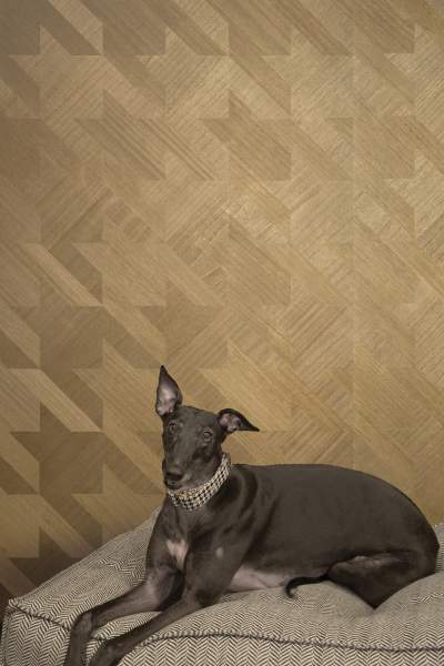 Oak Luster, MR-AH-4608-G