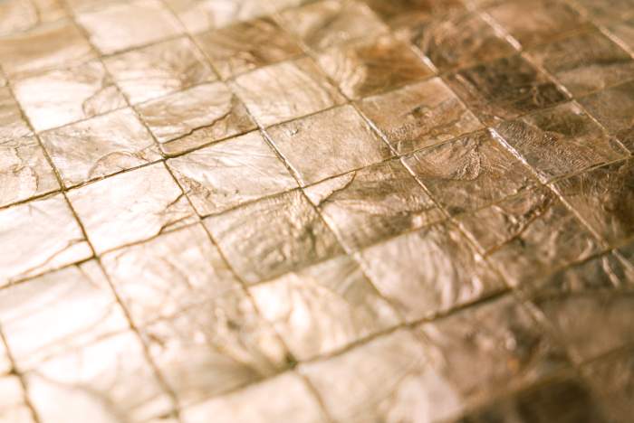 Maa★ Seashell Wall Coverings: Nature's Art for Your Walls