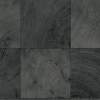 Allegheny Ash, MR-FV-30X02