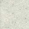 First Snow, MR-BGS-1519