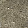Sandstone Geode, MR-BGS-1554