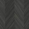 Elderberry Black, MR-FV-28X02