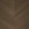 Cacao, MR-AC2-4852