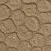 Sesame, MR-LK-2464