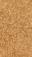 Golden Divan, MR-SK-1408