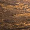 Gilded Bark, MR-W-56-113-C