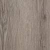Barn Fir, MR-NE-1179