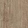 Chestnut Oak, MR-NE-1604