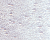 Sylvie, MR-BG-1551
