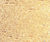 Golda, MR-BG-1552