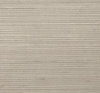 Beachgrass, MR-FV-21099