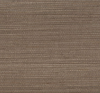 Milkweed, MR-FV-21179