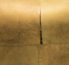 Ebony Gold, MR-PM-1314
