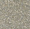 Metallic Taupe, MR-BD-1554