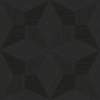 Starlit Sky, MR-FV-36109