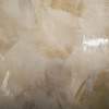 Tortora, MR-W-79-1389-S