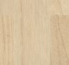 Maple, MR-AP2-3604